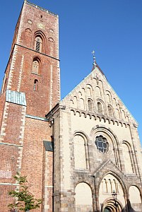 Ribe - Dom Ribe - Dom