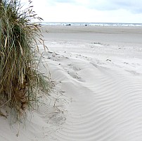 Fanø - Strand Fanø - Strand
