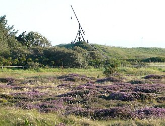 Heide Heide