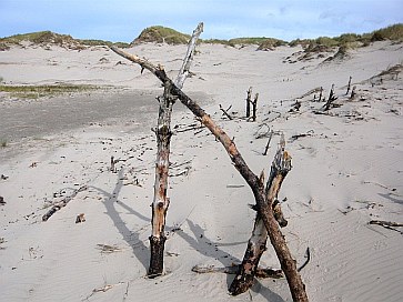 Råbjerg Mile Råbjerg Mile