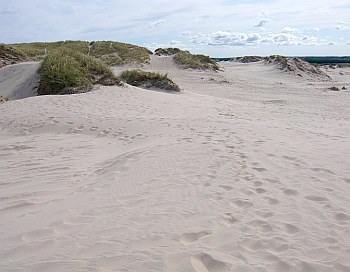 Råbjerg Mile Råbjerg Mile