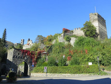 Burgruine Altwied