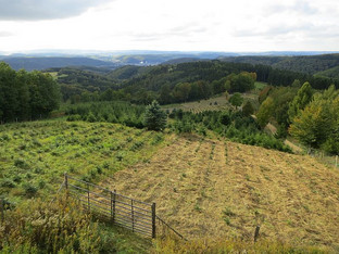 Aussicht