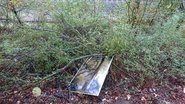 TV-Entsorgung a la Tannenbusch TV-Entsorgung a la Tannenbusch