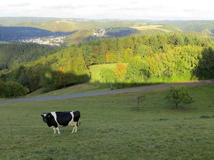 Aussicht