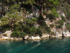 Paxos Paxos