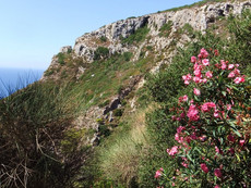Aussicht vom Angelokastro Aussicht vom Angelokastro