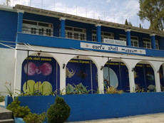 Muschel-Museum Muschel-Museum