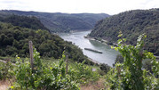 Loreley