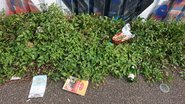 Tannenbusch Süd Tannenbusch Süd