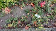 Neben der Straße Neben der Straße