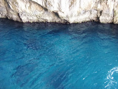 Paxos oder Antipaxos Paxos oder Antipaxos