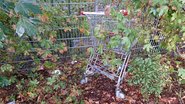 Alte Einkaufswagen Alte Einkaufswagen