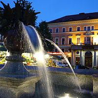 Polen 2010 Bild