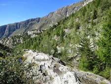 Schöne Landschaft