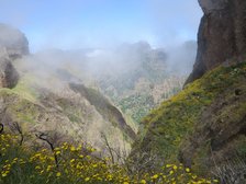 Wanderung zum Pico Ruivo