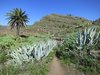 Wanderung zum Valle Gran Rey