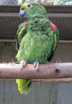 Jardim Botânico Jardim Botânico