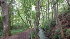 Wanderung bei Bad Wildungen