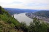 Rheinblick