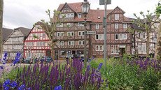 Frankenberg Frankenberg