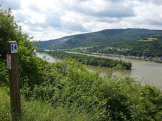 Rheinsteig