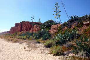 Bei Albufeira