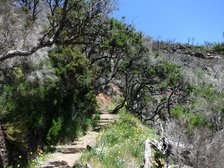 Wanderung zum Pico Ruivo