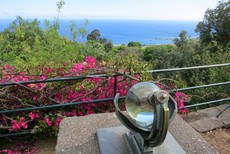 Jardim Botânico Jardim Botânico