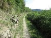 Wanderweg
