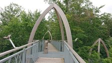 TreeTopWalk 