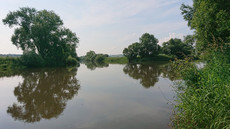 Edermündung Edermündung