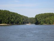 Die Siegmündung in den Rhein!