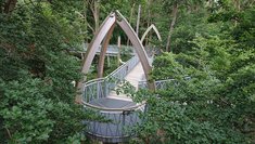 TreeTopWalk 