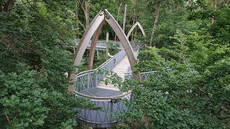 TreeTopWalk  TreeTopWalk