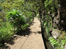 Levada