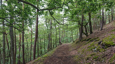 Daudenberg-Route Daudenberg-Route