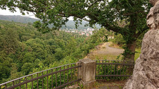 Wanderung bei Bad Wildungen Wanderung bei Bad Wildungen