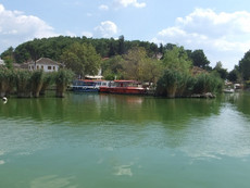 Insel im See Insel im See