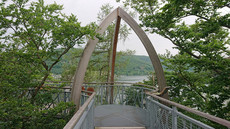 TreeTopWalk  TreeTopWalk