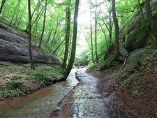 Drachenschlucht