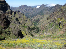 Wanderung zum Pico Ruivo Wanderung zum Pico Ruivo