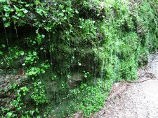 Vor der Drachenschlucht