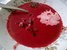 Rote-Beete-Suppe