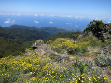 Beim Pico Ruivo Beim Pico Ruivo