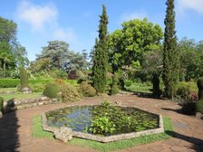 Jardins do Palheiro