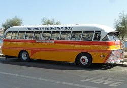 Malta-Bus