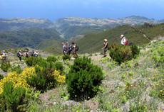 Bei der Achada do Teixeira Bei der Achada do Teixeira