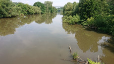 Die Fulda kurz vor Kassel Die Fulda kurz vor Kassel