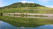 Weinberge bei Nittel